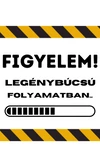 Kép 2/2 - Figyelem! Legénybúcsús folyamatban... - Legénybúcsús póló